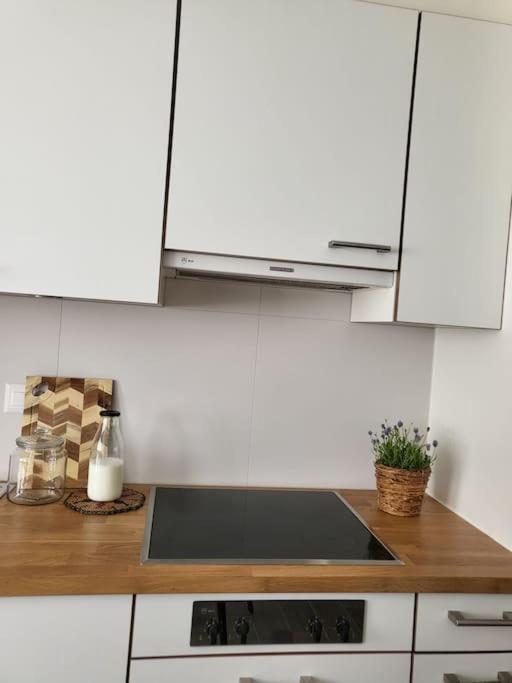 Apartmán Al Ronchetto Riva San Vitale Exteriér fotografie